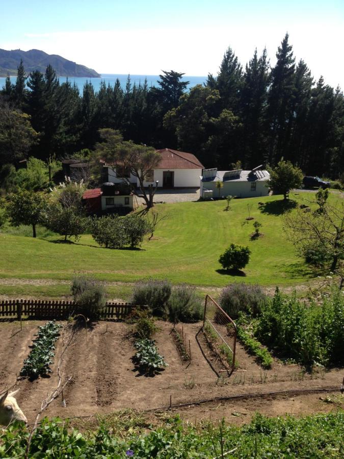 Waipiro Bay Paradise Bed & Breakfast Te Puia Eksteriør bilde