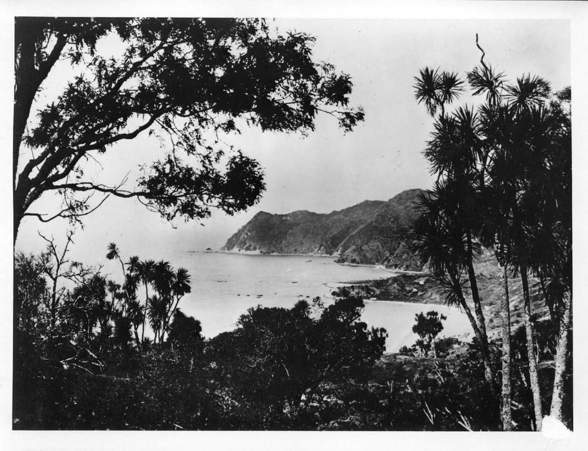 Waipiro Bay Paradise Bed & Breakfast Te Puia Eksteriør bilde